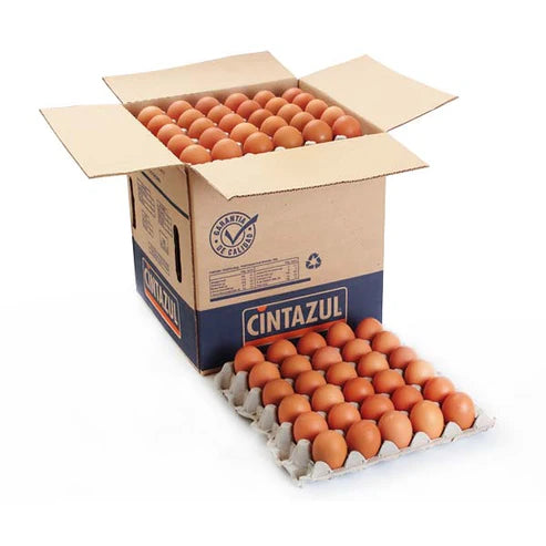 Huevos JUMBO Color 120 UND